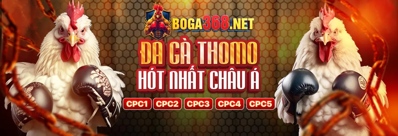 Đa dạng hóa các lựa chọn đặt cược tài xỉu